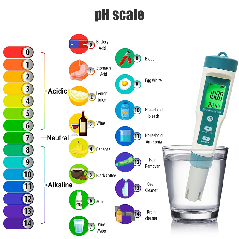 WESTTUNE Digital PH Meter 7 In - огляд і ціна Ph Meter