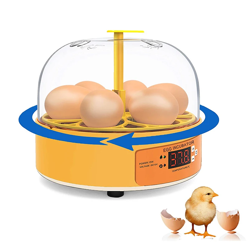 Breeding Incubator Chicken Duc - огляд і ціна Lab Incubator