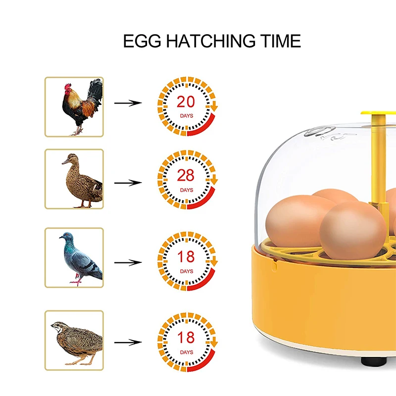 Breeding Incubator Chicken Duc - огляд і ціна Lab Incubator