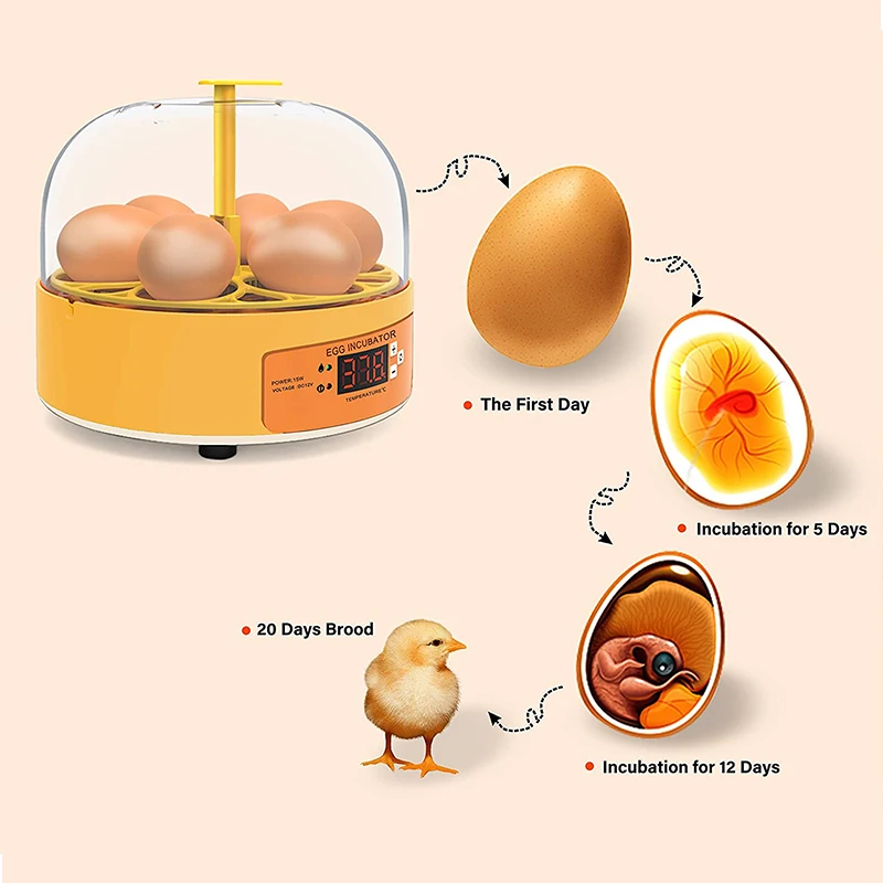 Breeding Incubator Chicken Duc - огляд і ціна Lab Incubator