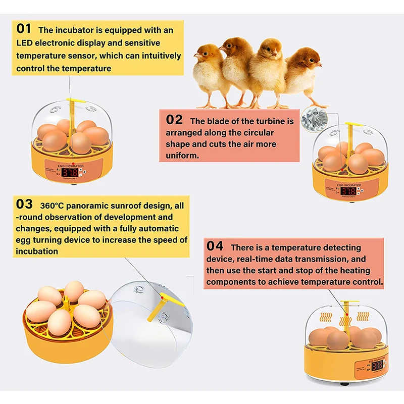 Breeding Incubator Chicken Duc - огляд і ціна Lab Incubator