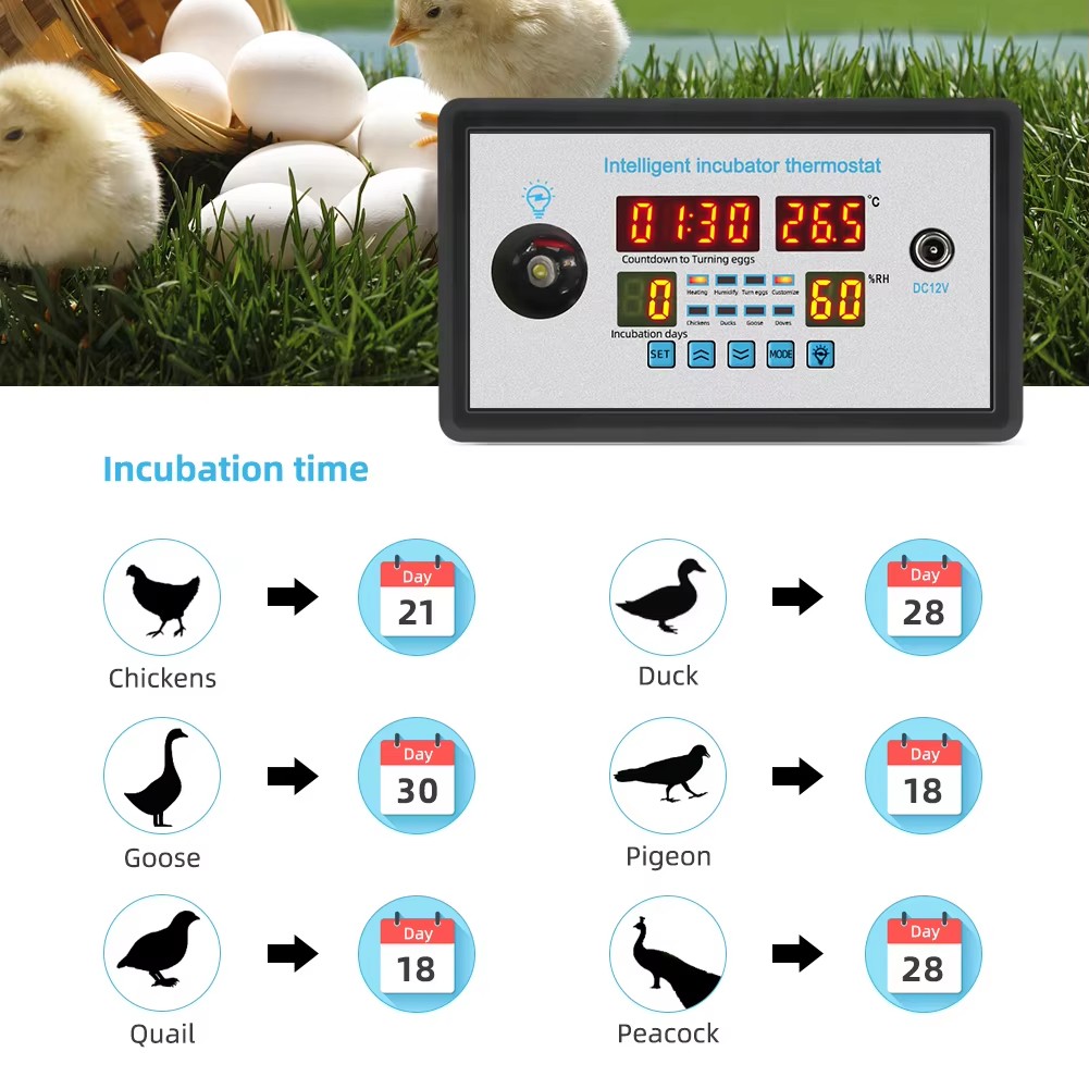 ZFX-W9002 12V/220V Egg Incubat - огляд і ціна Lab Incubator