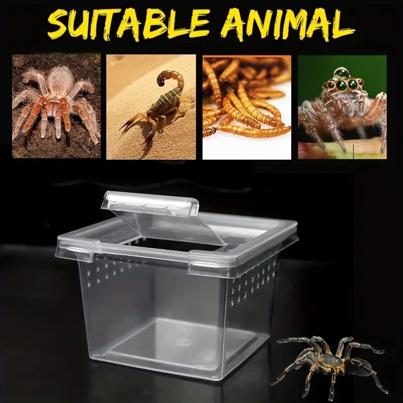10 Feeding Box Reptile Cages I - огляд і ціна Lab Incubator
